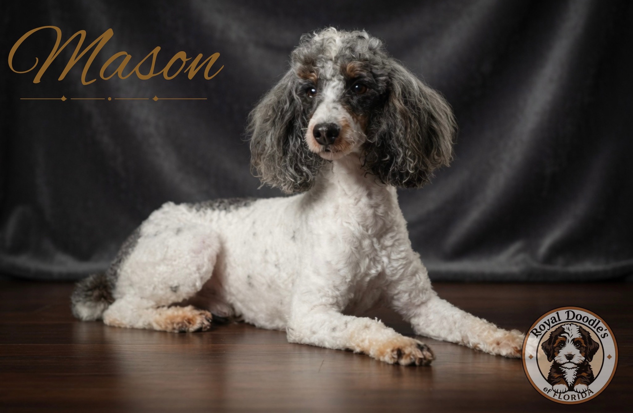 Mason
